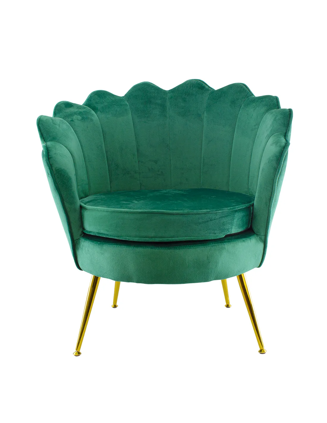 Poltrona in velluto con schienale a conchiglia e gambe dorate, ideale per soggiorno, camera da letto o ambienti eleganti.