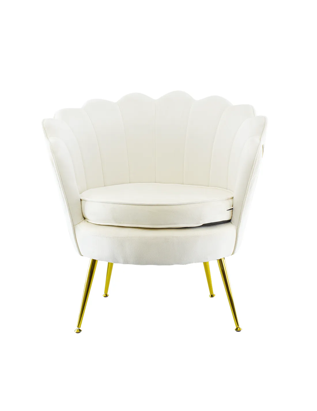 Poltrona in velluto con schienale a conchiglia e gambe dorate, ideale per soggiorno, camera da letto o ambienti eleganti.

