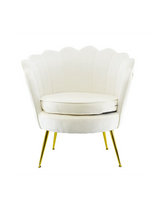 Poltrona in velluto con schienale a conchiglia e gambe dorate, ideale per soggiorno, camera da letto o ambienti eleganti.

