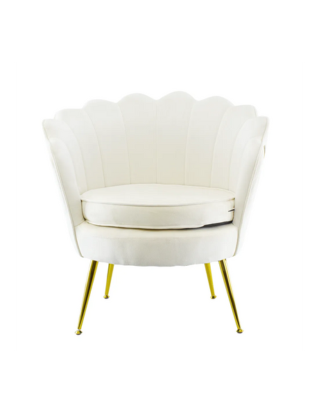 Poltrona in velluto con schienale a conchiglia e gambe dorate, ideale per soggiorno, camera da letto o ambienti eleganti.

