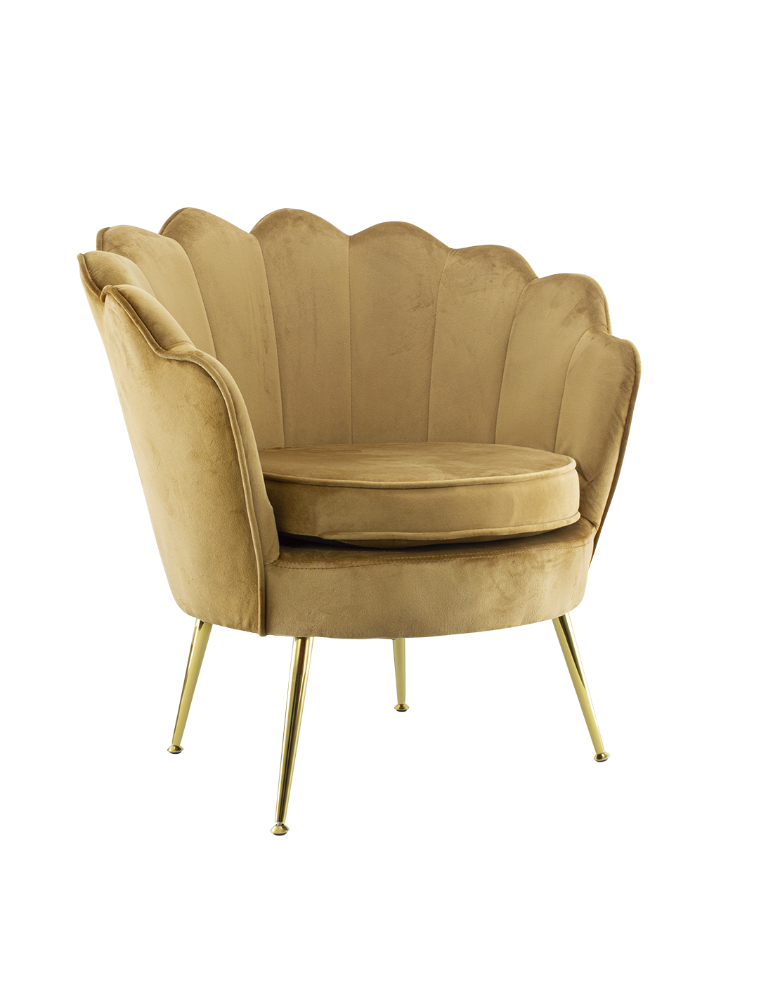 Poltrona in velluto con schienale a conchiglia e gambe dorate, ideale per soggiorno, camera da letto o ambienti eleganti.
