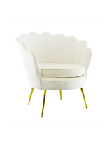 Poltrona in velluto con schienale a conchiglia e gambe dorate, ideale per soggiorno, camera da letto o ambienti eleganti.