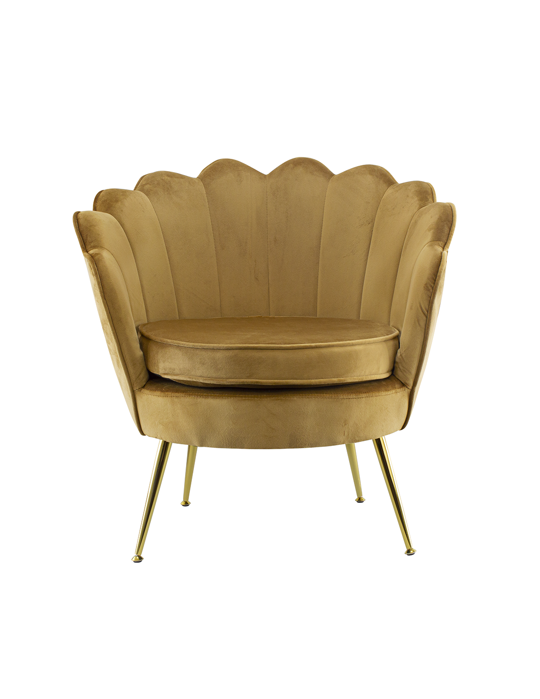 Poltrona in velluto con schienale a conchiglia e gambe dorate, ideale per soggiorno, camera da letto o ambienti eleganti.

