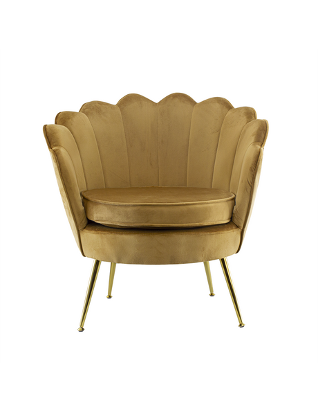 Poltrona in velluto con schienale a conchiglia e gambe dorate, ideale per soggiorno, camera da letto o ambienti eleganti.

