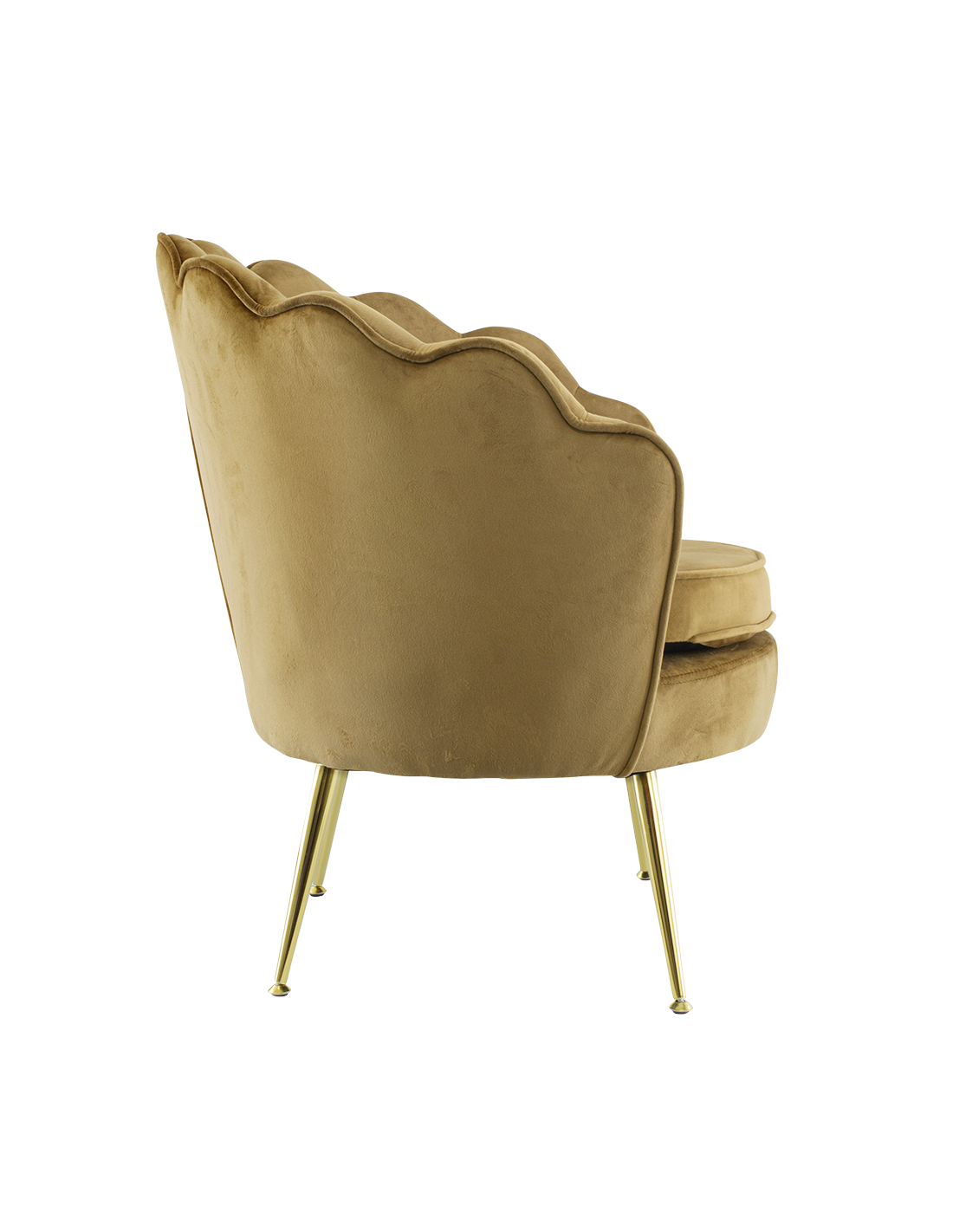 Poltrona in velluto con schienale a conchiglia e gambe dorate, ideale per soggiorno, camera da letto o ambienti eleganti.

